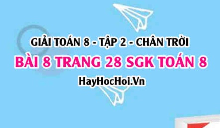 Bài 8 trang 28 Toán 8 Tập 2 Chân trời sáng tạo